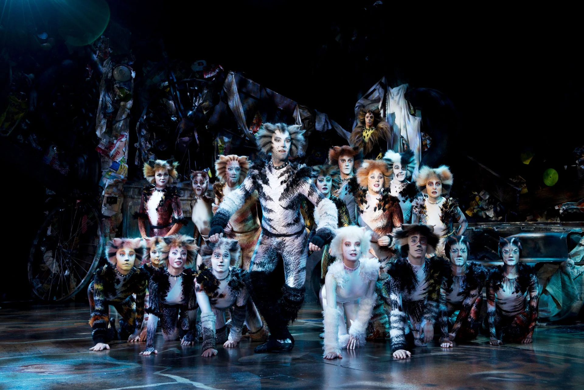 Cats Musical Szenenbild - Darsteller als Katzen verkleidet auf der Bühne zusammen und schauen neugierig